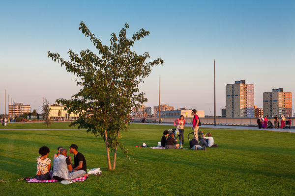 Rotterdam, Dakpark, gemeente Rotterdam