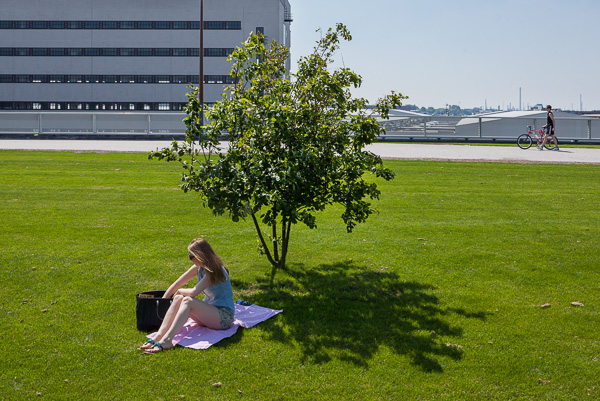 Rotterdam, Dakpark, gemeente Rotterdam